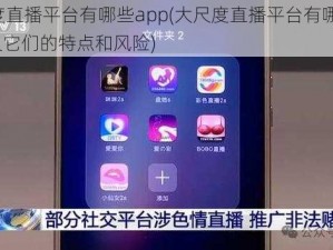 大尺度直播平台有哪些app(大尺度直播平台有哪些 app 以及它们的特点和风险)