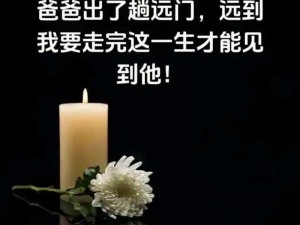 儿子等你爸走了咱继续,儿子等你爸走了咱继续，你对此有何看法和打算？