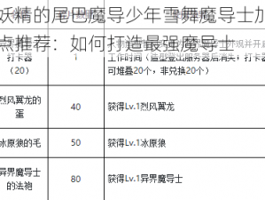 妖精的尾巴魔导少年雪舞魔导士加点推荐：如何打造最强魔导士