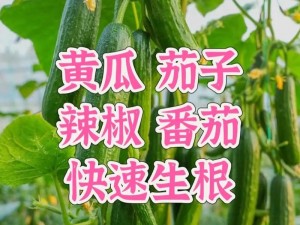 黄瓜、丝瓜、草莓、香蕉、茄子、土豆这么普通的蔬菜，凭什么能成为你的健康救星？