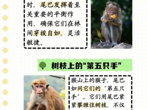 两只小猴子为什么被困在了树上？如何才能帮助它们下来？