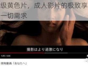 日本三级黄色片，成人影片的极致享受，满足你的一切需求