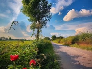 在喧嚣的世界中，寻找片刻宁静，回到妈妈的桃花源，让爱与温暖相伴