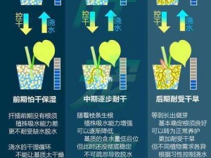 藤蔓爬进肠道无法合拢怎么办？