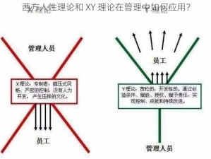 西方人性理论和 XY 理论在管理中如何应用？