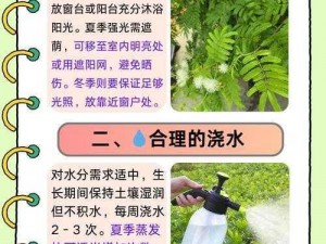 含羞草的使用方法简单，将其放置于室内，定期浇水即可