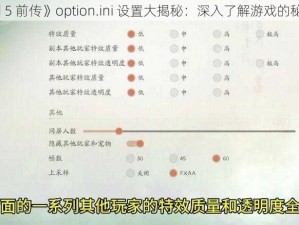 《仙剑 5 前传》option.ini 设置大揭秘：深入了解游戏的秘密选项