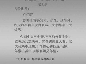 澳门无人区码一码二码三码区别，码上不同，带你畅游澳门