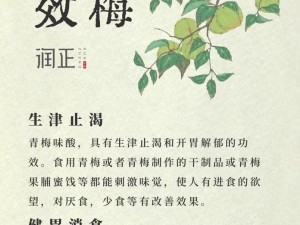 青梅为什么不能成双？有什么方法可以解决吗？