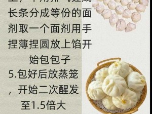 如何获取无名之辈包子——探寻独特美食的秘密