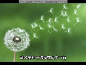 蒲公英飞行比赛：萝界争霸，谁是桃源深处的飞行冠军？