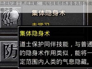 热血战纪道士养成攻略：揭秘技能修炼装备选择与战斗策略之道