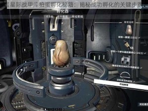 《星际战甲库狛蛋孵化秘籍：揭秘成功孵化的关键步骤》