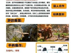 如何通过双人键盘操作攻略在《兄弟：双子传说》中通关