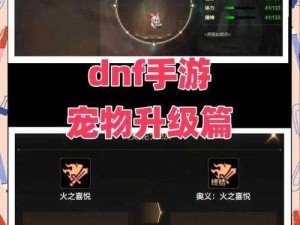 《地下城》宠物挖宝攻略：高效速度提升策略详解