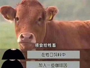 人与畜禽结合？——一款颠覆想象的创新产品