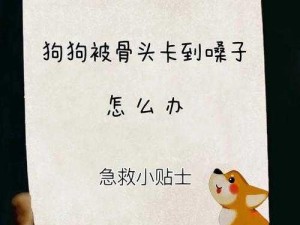 我家狗狗卡在里面了，很痛，该怎么办？