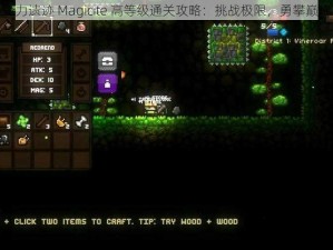 魔力遗迹 Magicite 高等级通关攻略：挑战极限，勇攀巅峰