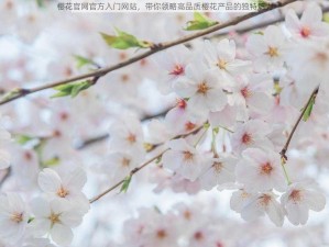 樱花官网官方入门网站，带你领略高品质樱花产品的独特魅力