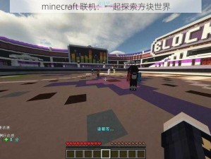 minecraft 联机：一起探索方块世界