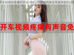 开车视频有疼痛的声音 APP，一款提供真实驾驶体验的应用