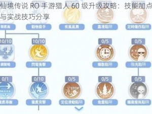 仙境传说 RO 手游猎人 60 级升级攻略：技能加点与实战技巧分享