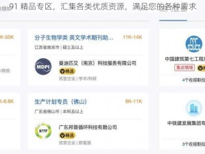 91 精品专区，汇集各类优质资源，满足您的各种需求