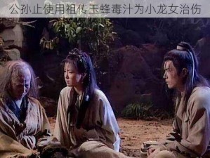 公孙止使用祖传玉蜂毒汁为小龙女治伤