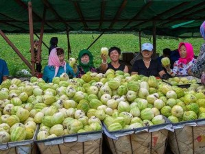 中国夫妇hometown 的优质产品推荐