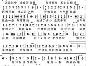 91 爆料回家的路——让你的归途更加温暖和安心