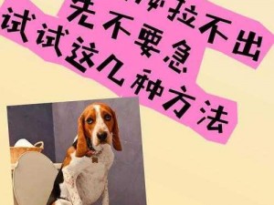 狗狗放进去弄不出来怎么办？试试[产品名称]，轻松解决