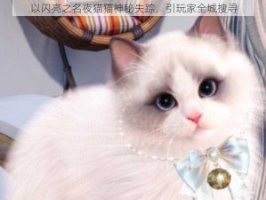 以闪亮之名夜猫猫神秘失踪，引玩家全城搜寻