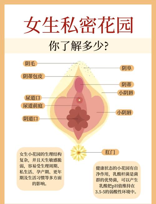 乱女 1-7 第一章：女性私护品牌，呵护你的私密健康