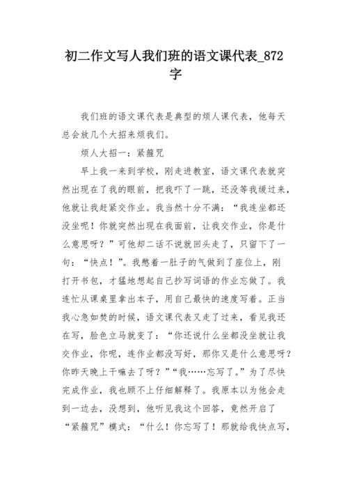 我和课代表的那些事