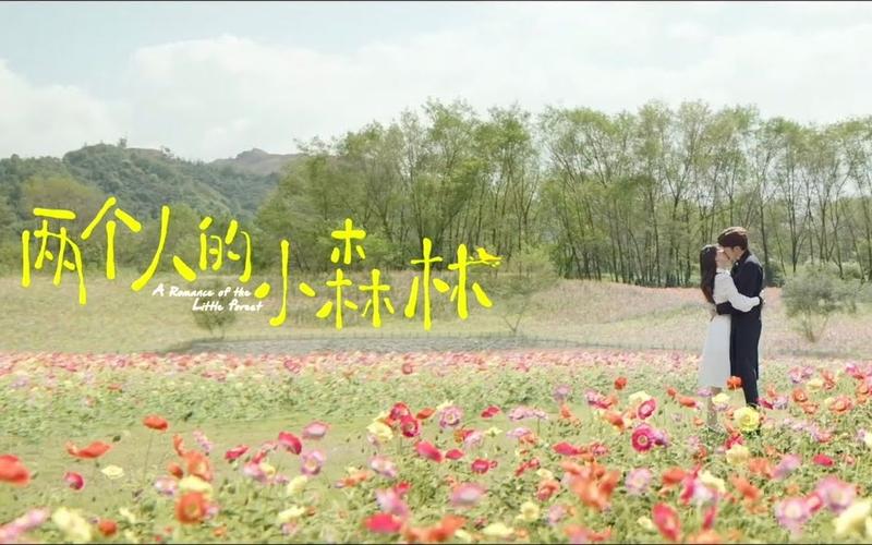 两个人的视频 WWW 中文——一款免费提供在线视频观看的软件