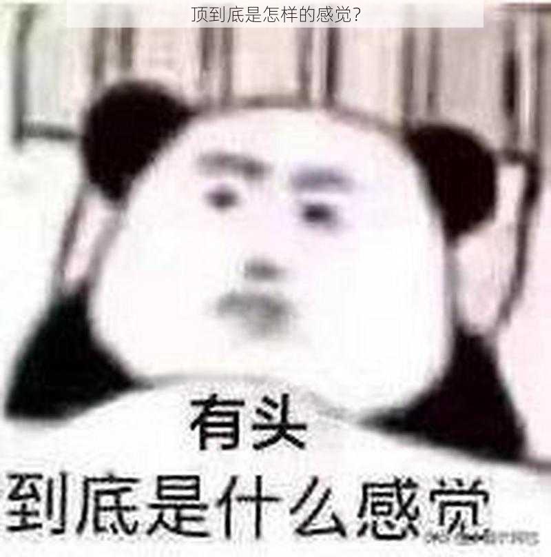 顶到底是怎样的感觉?