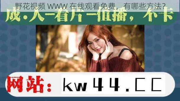 野花视频 WWW 在线观看免费,有哪些方法?