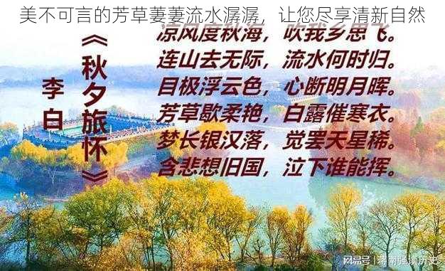 美不可言的芳草萋萋流水潺潺，让您尽享清新自然