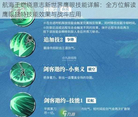 航海王燃烧意志新世界鹰眼技能详解：全方位解读鹰眼独特技能效果与战斗应用