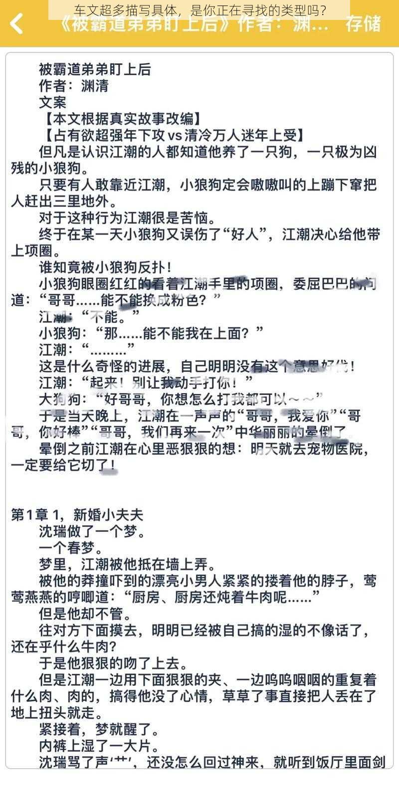 车文超多描写具体，是你正在寻找的类型吗？