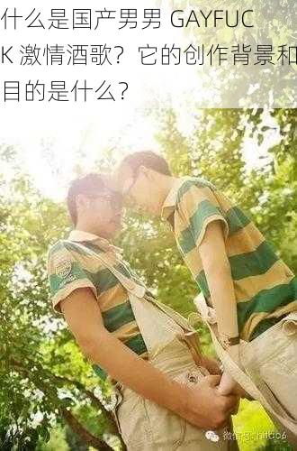 什么是国产男男 GAYFUCK 激情酒歌？它的创作背景和目的是什么？