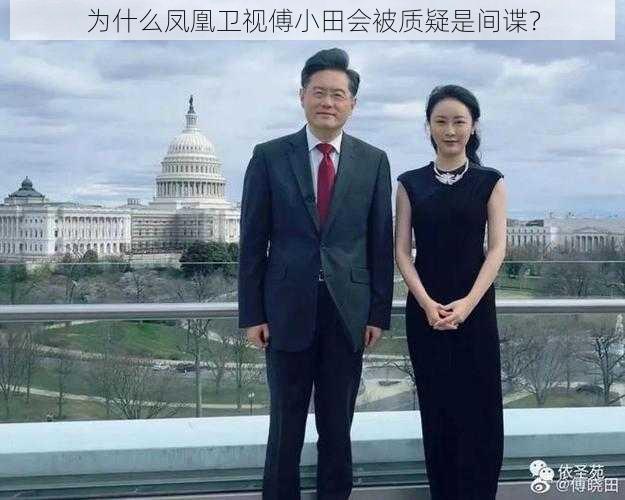 为什么凤凰卫视傅小田会被质疑是间谍？