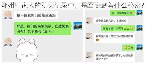 鄂州一家人的聊天记录中，是否隐藏着什么秘密？