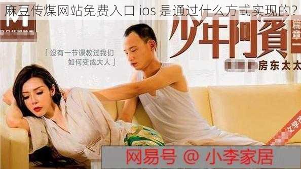 麻豆传煤网站免费入口 ios 是通过什么方式实现的?