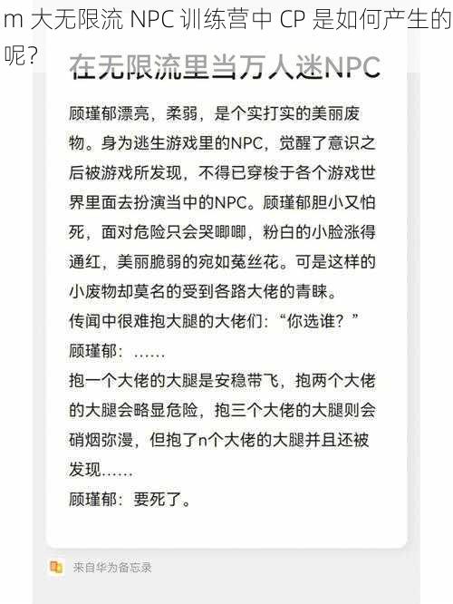 m 大无限流 NPC 训练营中 CP 是如何产生的呢？