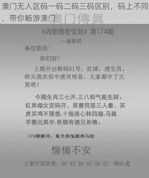 澳门无人区码一码二码三码区别，码上不同，带你畅游澳门