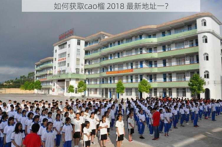 如何获取cao榴 2018 最新地址一？