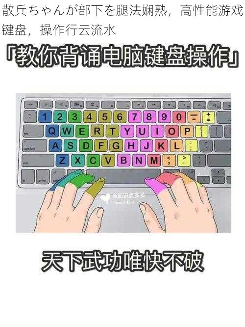 散兵ちゃんが部下を腿法娴熟，高性能游戏键盘，操作行云流水