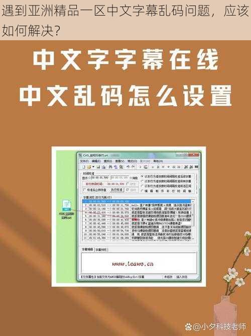 遇到亚洲精品一区中文字幕乱码问题，应该如何解决？