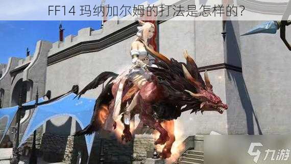 FF14 玛纳加尔姆的打法是怎样的？